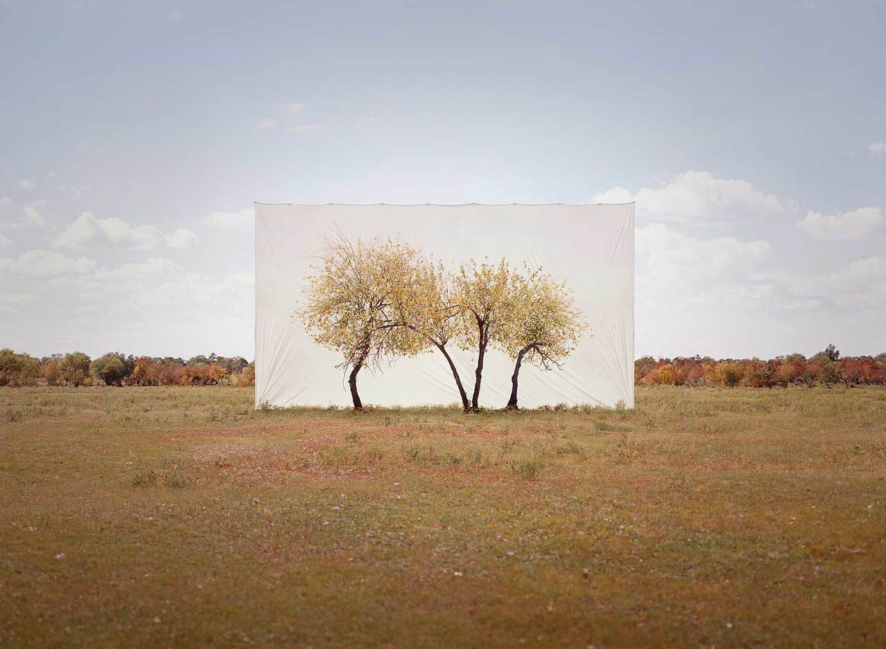 NATUREZA EMOLDURADA | MYOUNG HO LEE
O artista sul-coreano Myoung Ho Lee capturou árvores individuais contra cenários brancos...