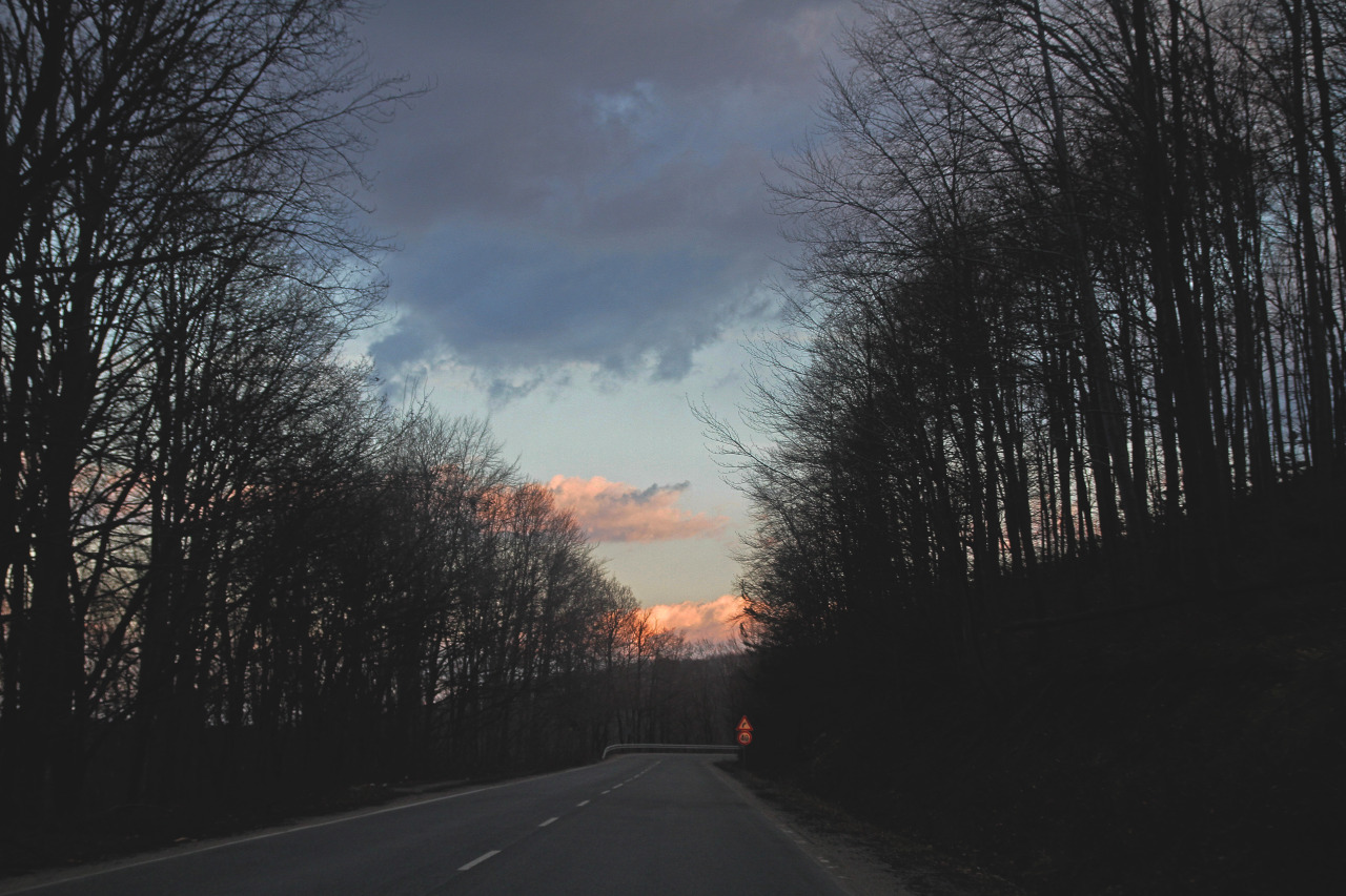 noizzex:  by noizzexinstagram | 500px | deviantart | flickr | society6