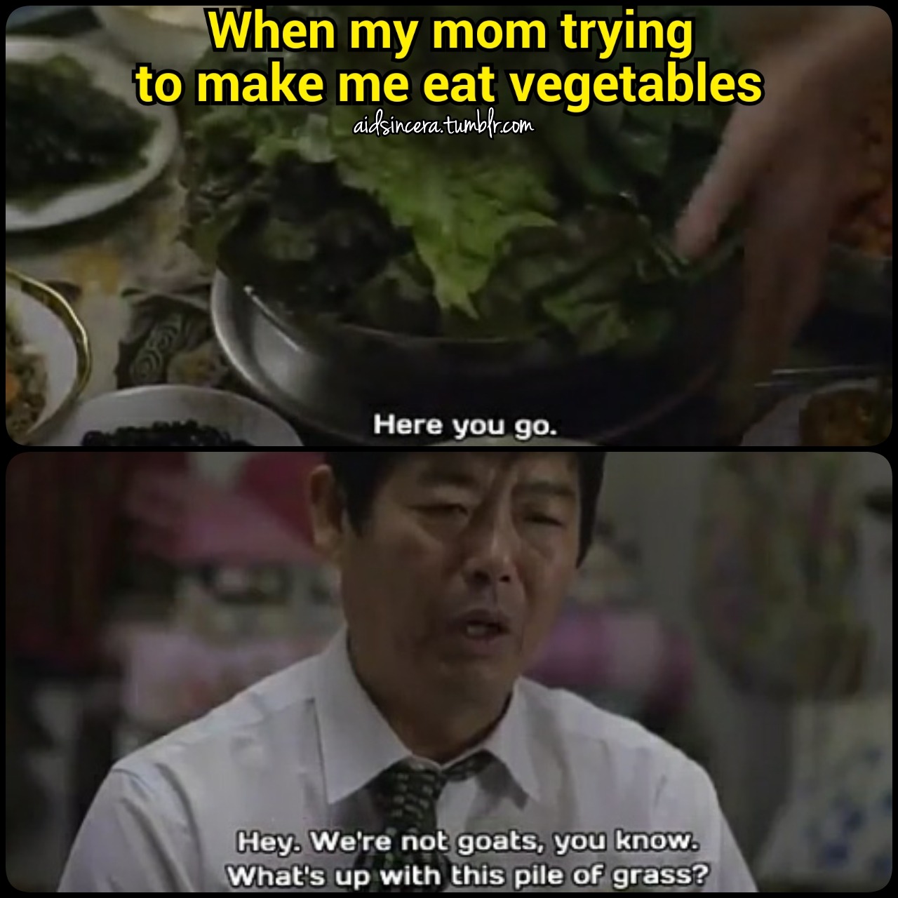 aidsincera:  The only vegetable I eat is French Fries!!. 