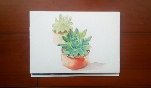 Self-teaching watercolour painting, we call this type of cactus 多肉 (much meat) in Chinese. :)