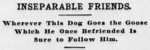 yesterdaysprint - Perrysburg Journal, Ohio, March 9, 1900