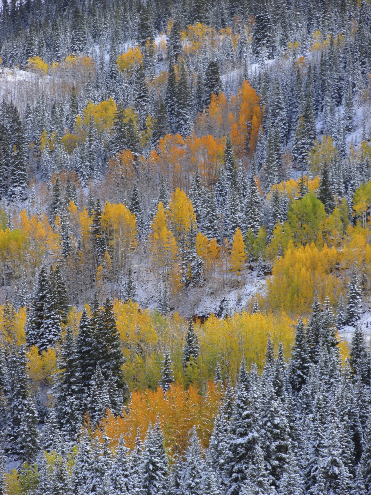 theencompassingworld:  justemoinue2:  Ironton, Colorado  The World Around Us