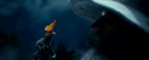 buffskeleton:but home is now behind you, the world is aheadThe Hobbit: An Unexpected Journey