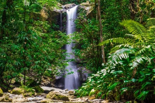 trinbagoculture: Avocat Waterfall. Trinidad and Tobago.