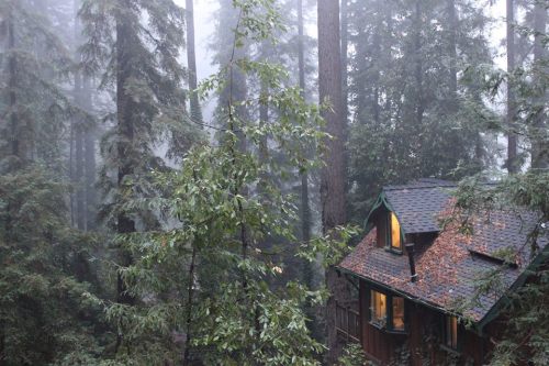 chubbybluntz: opal-october: my little house on a hill in the rainy, foggy pacific northwest winter u
