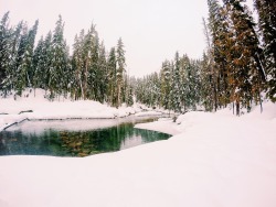 Courtneyurzen:  Whistler, Bc