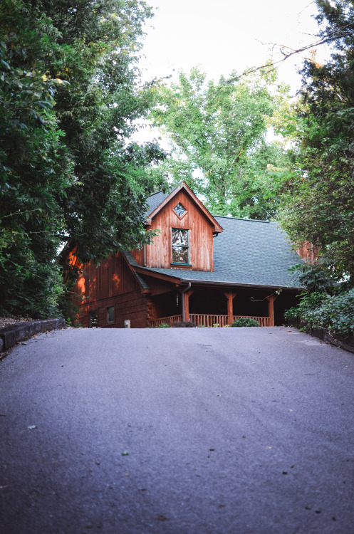 Smokey Mountains, Tennessee. August 6th, 2016.