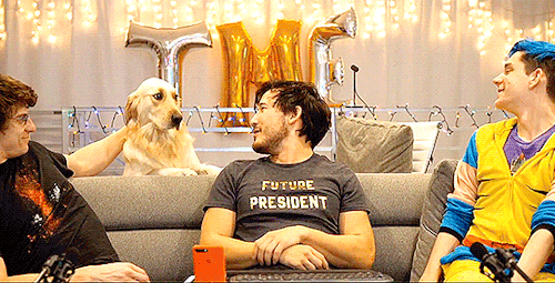 markired:  chica, a good puppo 