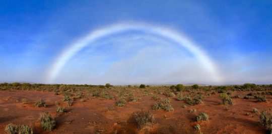 Amazing Nature Phenomenons