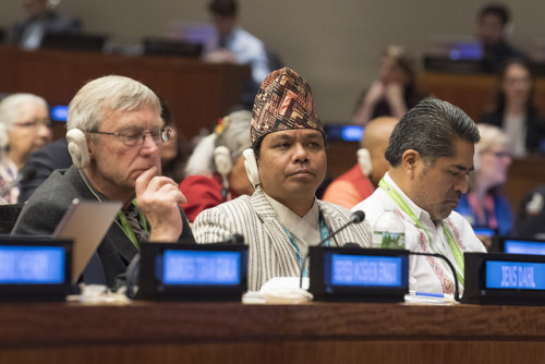 scripturient-manipulator: united-nations: The Permanent Forum on Indigenous Issues is now taking pla