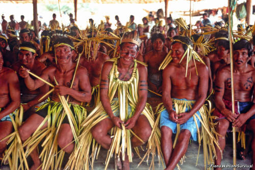 Porn photo indigenous-tribes:  South America : Makuxi
