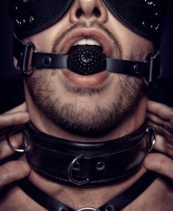 bredbeta: gayslavery:  fetishbloke:  Welcome to your new life, slave.   The omega in its proper place.  