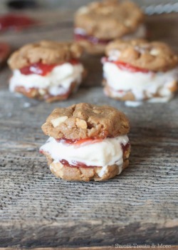 dessertp0rn:  PB &amp; J Ice Cream Cookie Sandwiches [600x840] | More?