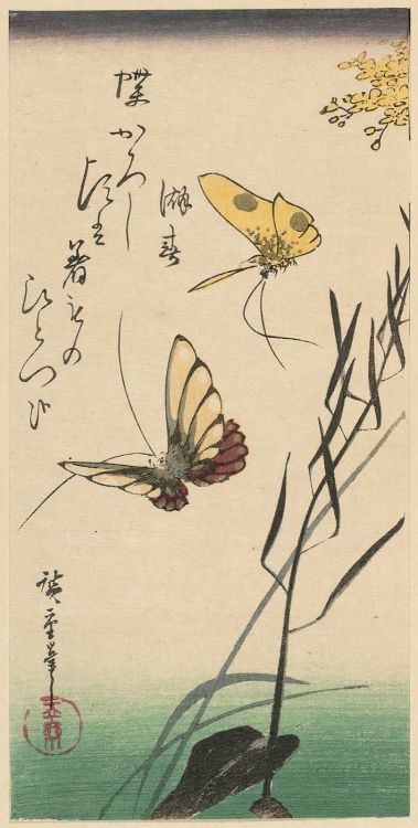 the-evil-clergyman: Butterflies and Ominaeshi Flowers by Utagawa Hiroshige (1835)