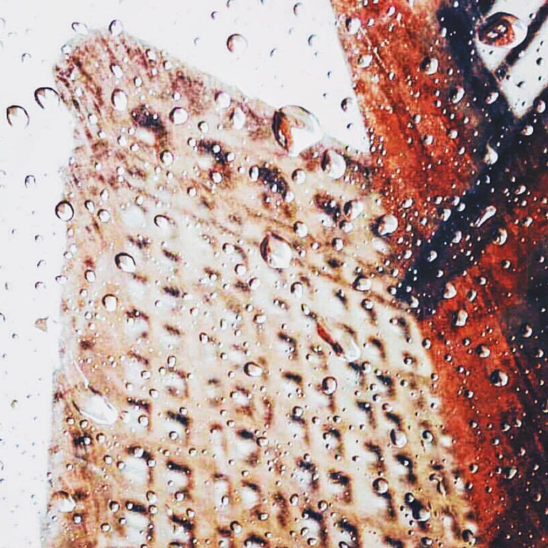 nythroughthelens:
“ Rainy days are some of the best…
New York City
My book comes out in a week!
New York in the Snow
So excited!
”