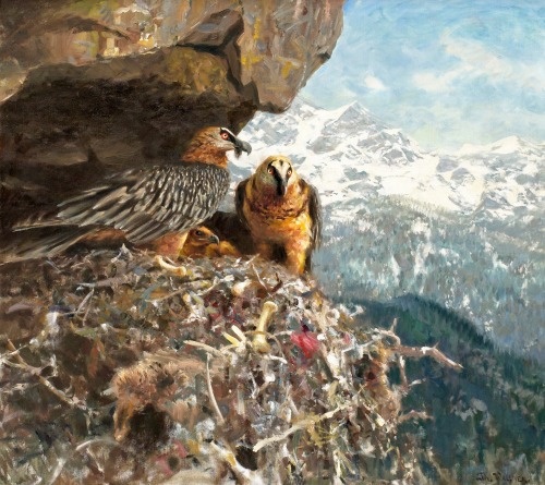 art-and-things-of-beauty:Thure Wallner (1888-1965) - Bearded vultures (Gypaetus barbatus) with chicks in the nest, oil on canvas, 90 x 100 cm. 