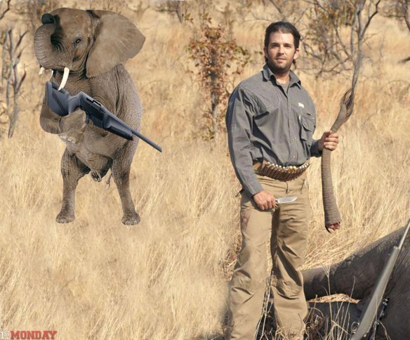 Someone should shoot him and is old man for fun.
