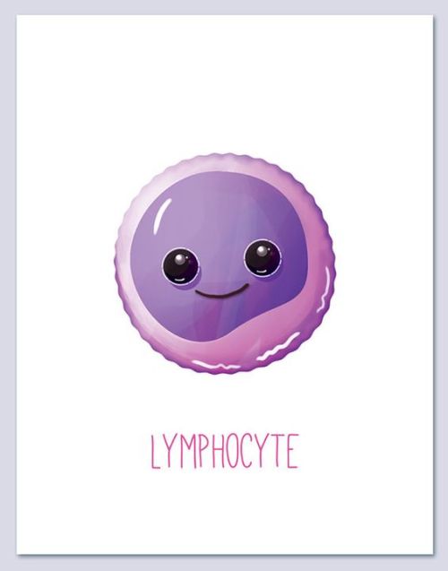 Cute Components of Blood