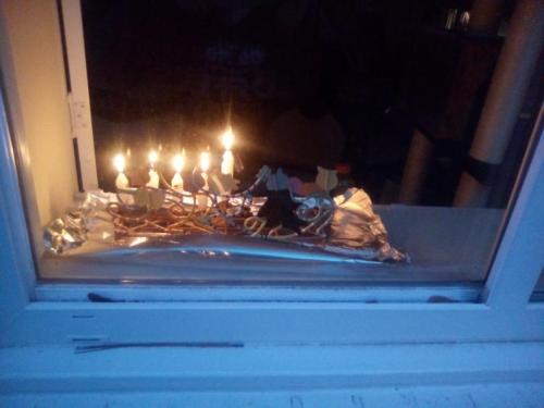 magen-ruth:One of these is not like the others…Chag sameach! @hanukcat btw, cat hanukkiyah and actua