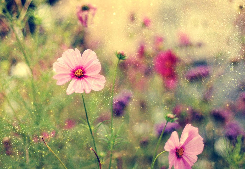 englishsnow:  by ►i.Anton 