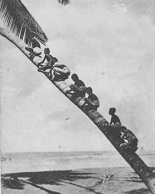 equatorjournal: Ceylon, 1952. Author unknown.www.instagram.com/p/COLhiTmgva8/?igshid=1395q6u