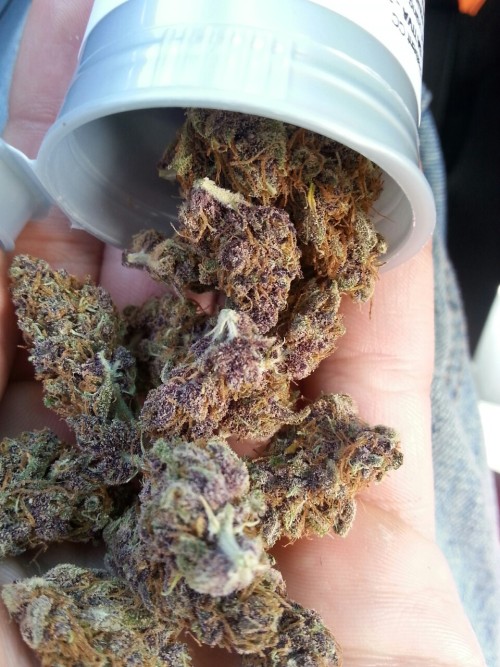keyfbat: I always get excited for purple weed