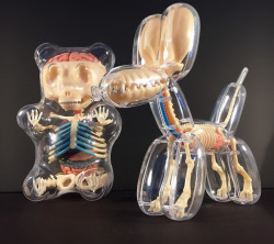 sixpenceee: Anatomical Animal Balloons By Jason Freeny  