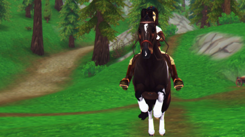 star stable online