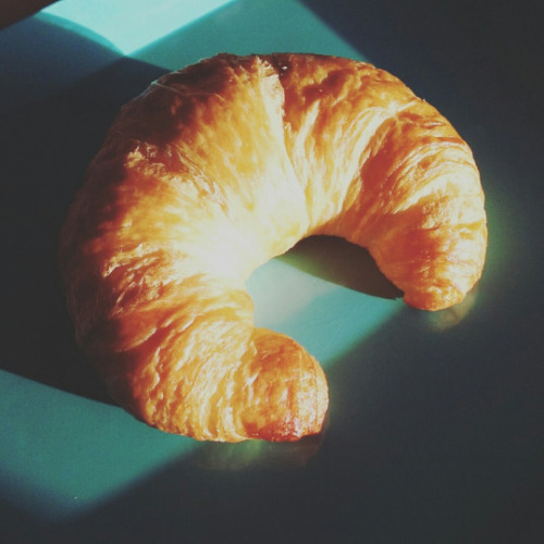 timberlines:Buttercup or croissant? :O