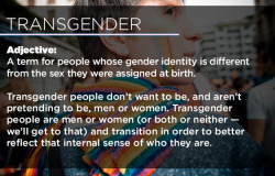 ukulele-laura:  raresighting:  buzzfeed:  Everything you wanted to know about transgender people but were afraid to ask.    GenderQueer  Yes!