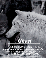 alexsexklaus:  thronesgifs challenge: [2] creatures » direwolves↳ These wolves