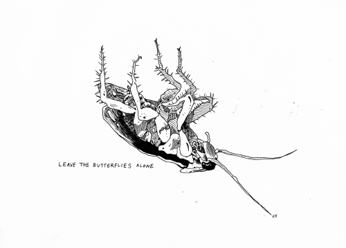 emilyhomrok - EMILY HOMROK