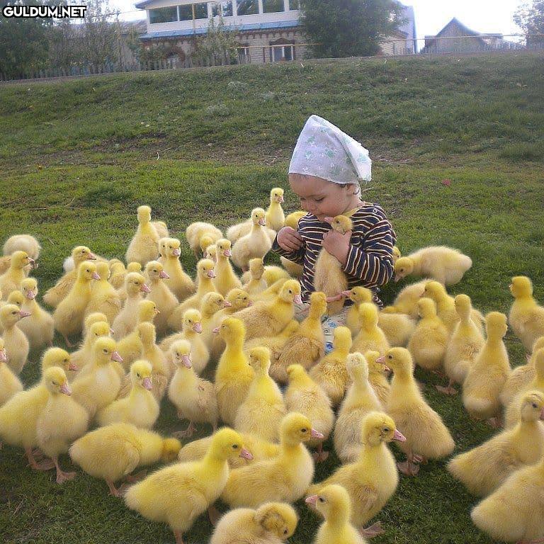 ne zamandır pozitif foto...