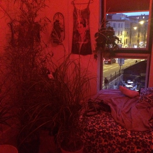 ozeia:  langsettte:  my room turning in2 a jungle 🐒  I WANT A RED LIGHT IN MY rOOm SO BAD