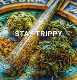 higheramerica:  Stay Trippy San Diego!  Follow higheramerica 