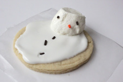 eclecticallyours:  winter winding down means the end of snow and snowmen but seeing as how I live in a tropical climate the only way I can enjoy the sad yet happy event of melting snowmen is in food form like these cookies, s’mores and shooters. 