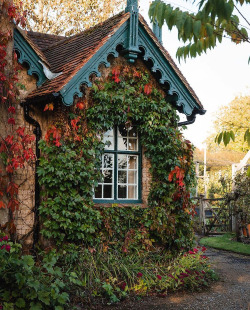 XXX happyheidi:The dream cottage with a huge photo