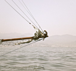 vagabundotothesea:Schooner girls rock! Altair’s