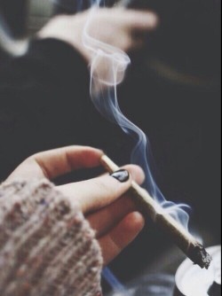 girlsthatloveweed:  Smoke MEOWt…