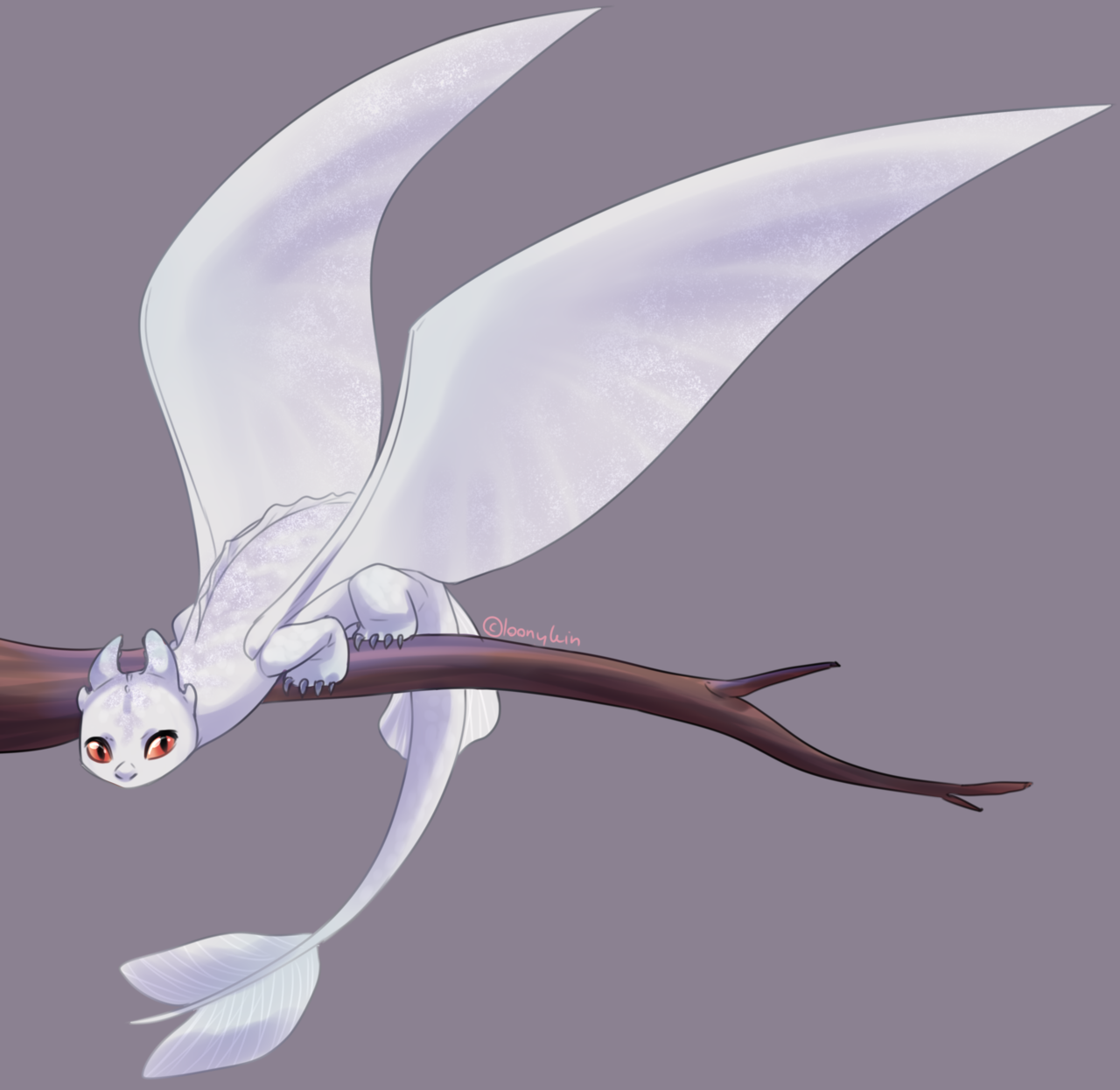 Featured image of post Httyd Light Fury Fanart With the design there could be actual reasons why she looks this way