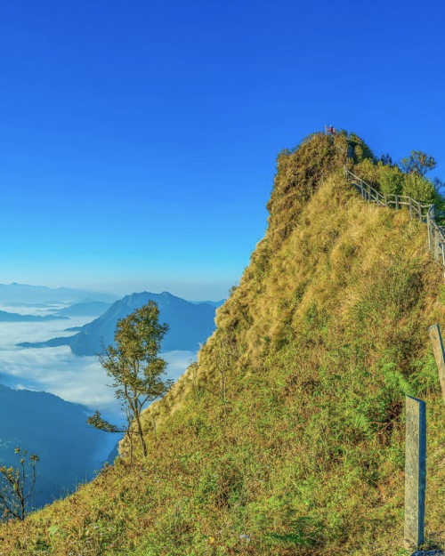 Phu Chi Dao - Even higher than the aforementioned Phu Chi Fa is this Phu Chi Dao, about 16 kilometre