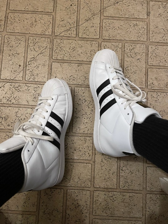 adidas pro model tumblr