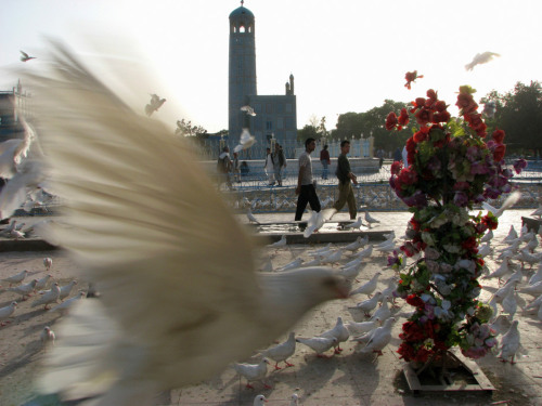 unrar:Afghanistan, Mazar-E-Sharif 2008. Scenes of daily life during wartime. Blue mosque,  Pete