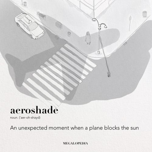 Aeroshade…