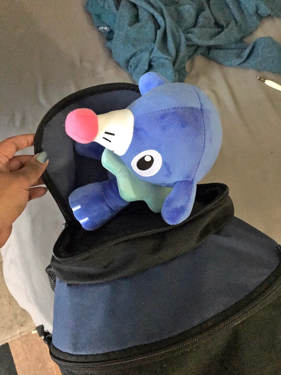 prince-primarina: Hey guys.. So I got kicked out of my home for good today, one for
