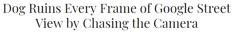recommend:Dog Ruins Every Frame of Google Street View by Chasing the Camera (x)