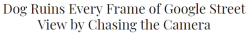 recommend:Dog Ruins Every Frame of Google Street View by Chasing