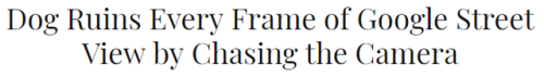 recommend:Dog Ruins Every Frame of Google Street View by Chasing the Camera (x)