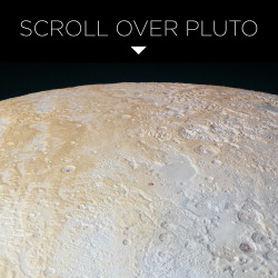 skunkbear:  This is one slice of an incredible high resolution, enhanced color image of Pluto, recently released by NASA. You can see the full, larger version here.  Credit: NASA/JHUAPL/SwRI 