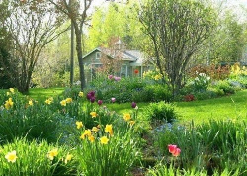 Spring GardenPhoto via Twitter